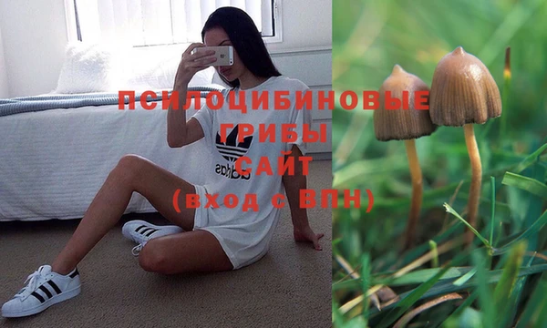хмурый Заводоуковск