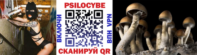 Галлюциногенные грибы Cubensis  Купить  Луза 
