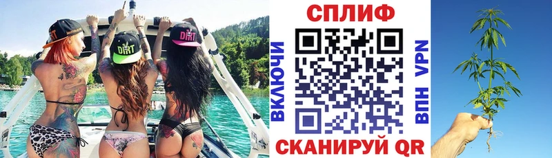 Шишки марихуана THC 21%  Купить закладки  Луза 